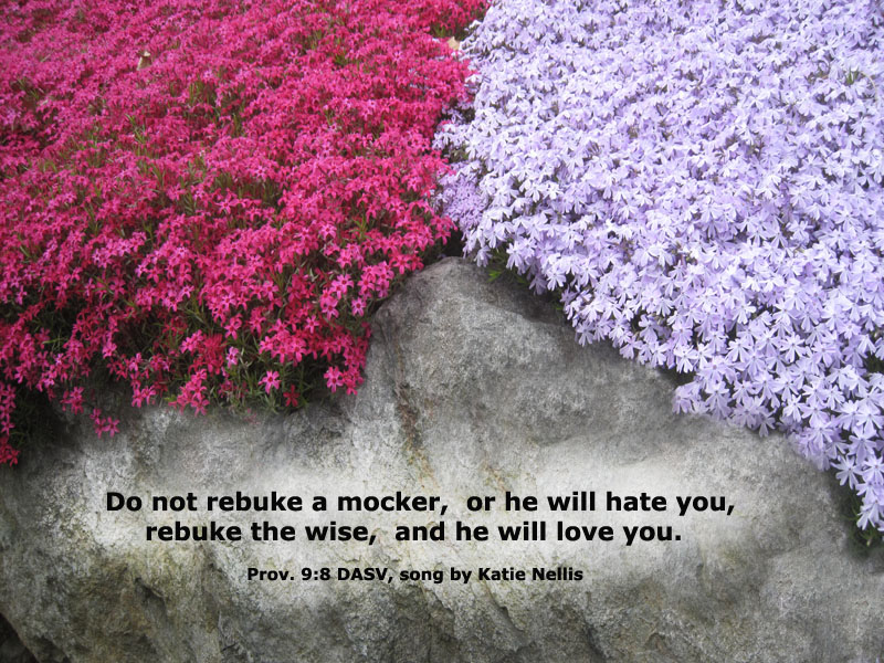 Proverbs 9:8 DASV for Song by Katie Nellis