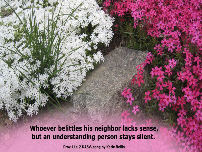 Proverbs 9:8 DASV for Song by Katie Nellis
