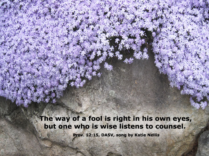 Proverbs 12:15 DASV for Song by Katie Nellis