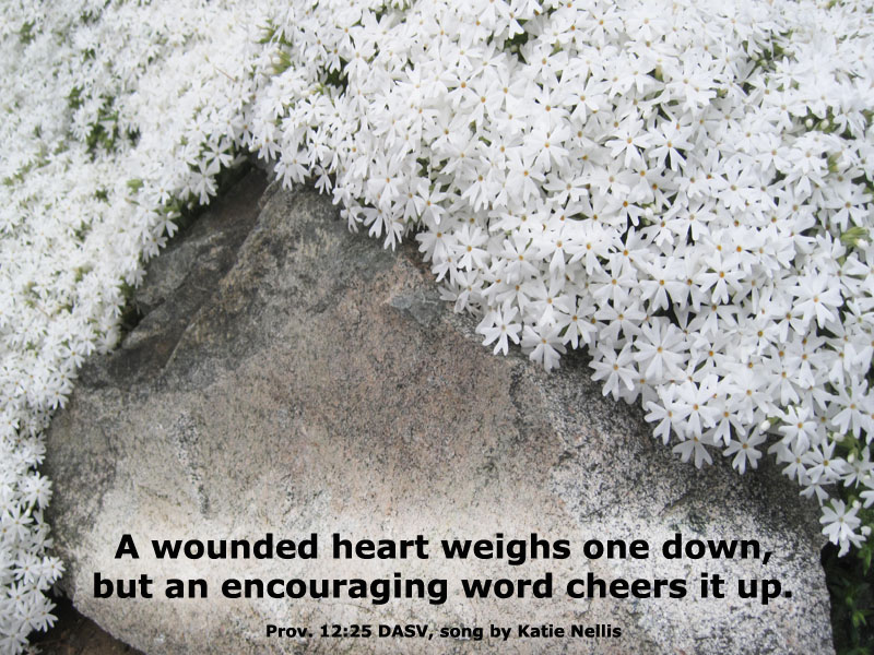 Proverbs 12:25 DASV for Song by Katie Nellis