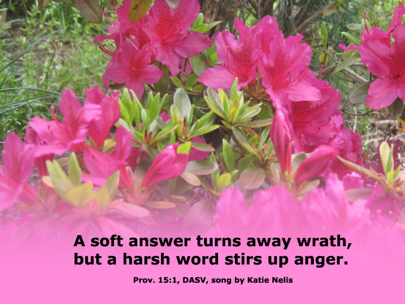Proverbs 15:1 DASV for Song by Katie Nellis